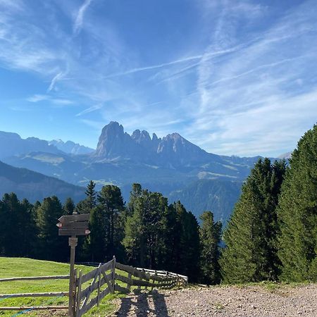 Apartment Nido Selva di Val Gardena Luaran gambar