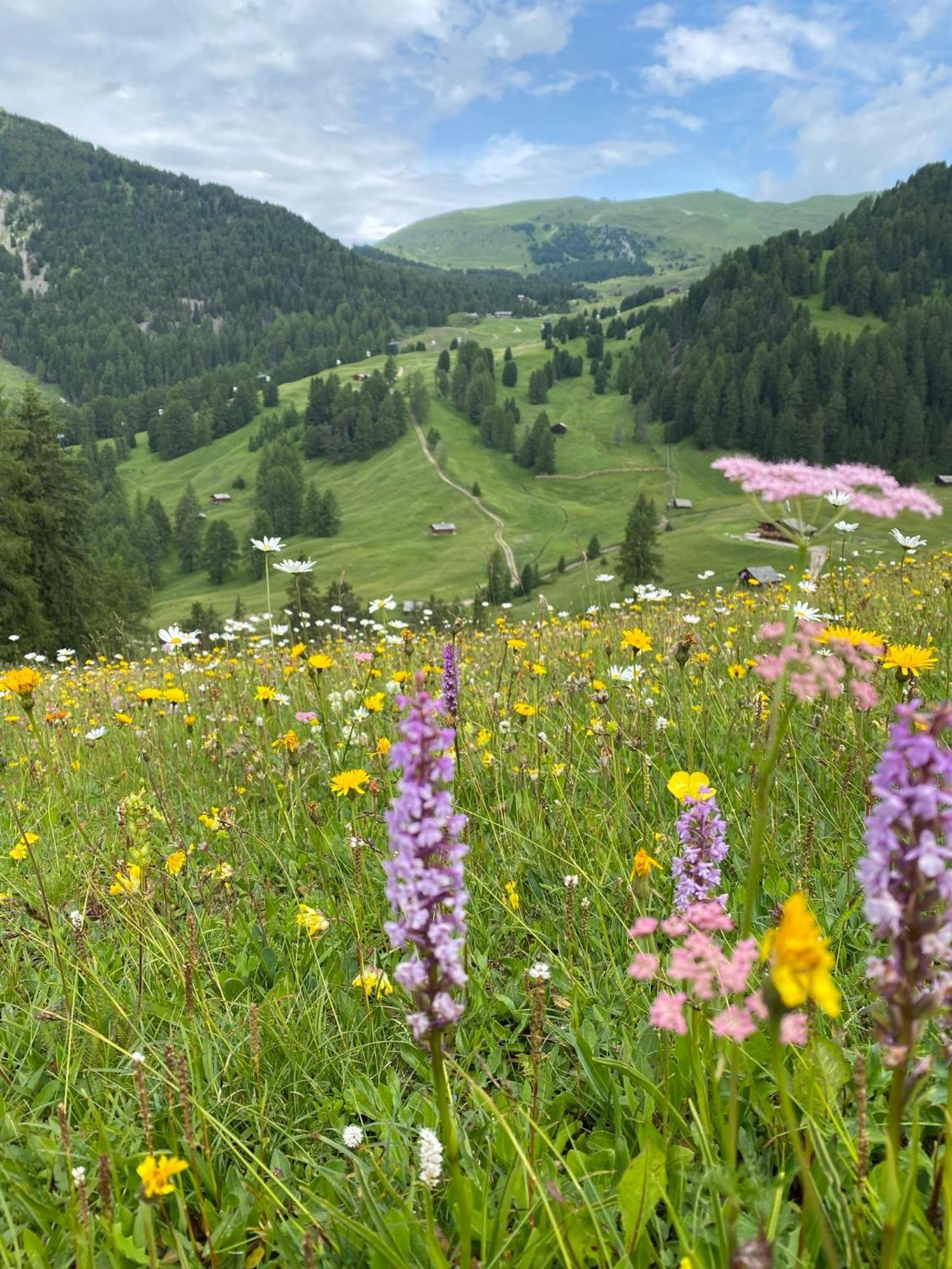 Apartment Nido Selva di Val Gardena Luaran gambar